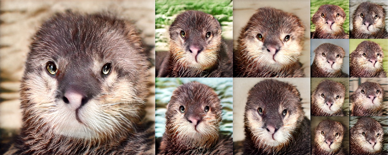 Otter.